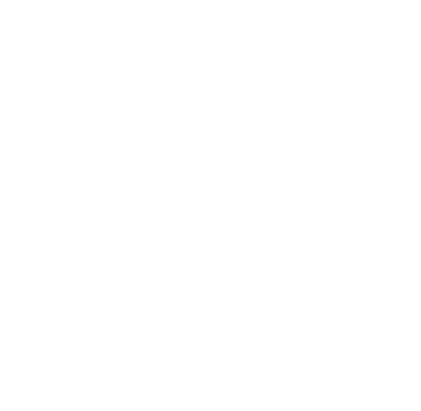 Creare magazin online Cluj Logo